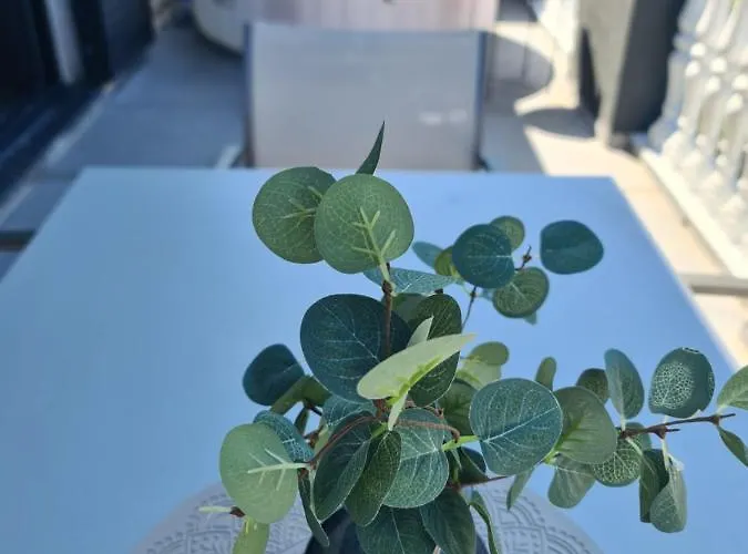 Vakantiehuis Harmony *